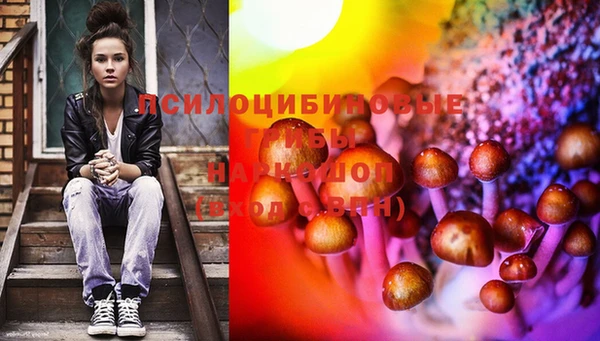мескалин Богородицк