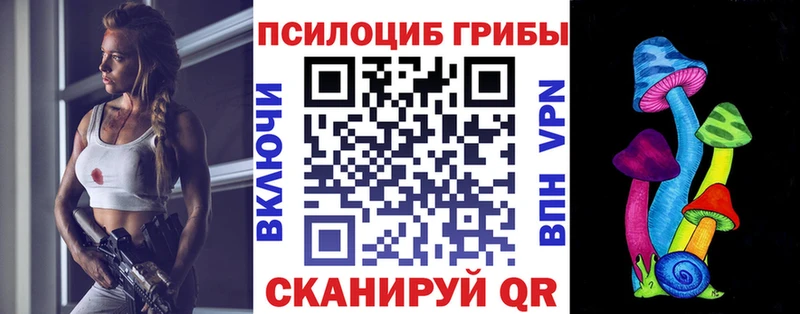 Галлюциногенные грибы Psilocybine cubensis  где продают наркотики  Малаховка 